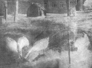 Гуси белые, 1920 год
