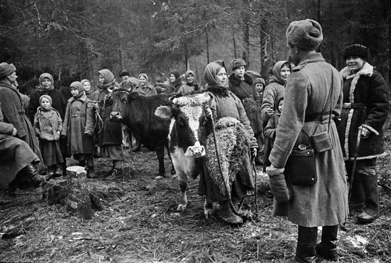 Партизанский колхоз в лесу, август 1943