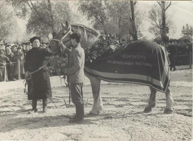 Чемпион межрайонной выставки, 1930-е