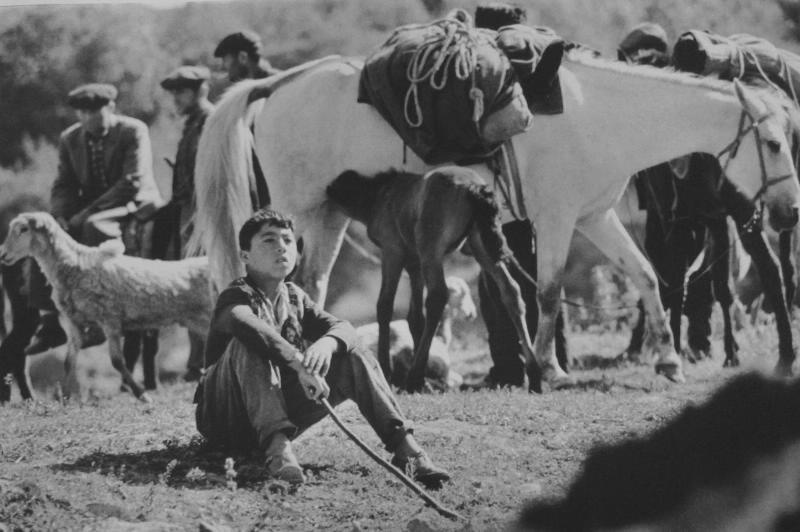 Мальчик-пастух, 1960-е, Армянская ССР
