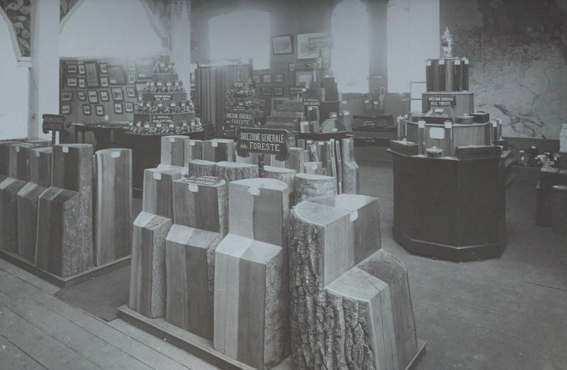 Зал лесного хозяйства, 28 апреля 1906 - 11 ноября 1906, Италия, г. Милан. Всемирная выставка 1906 года в Милане.