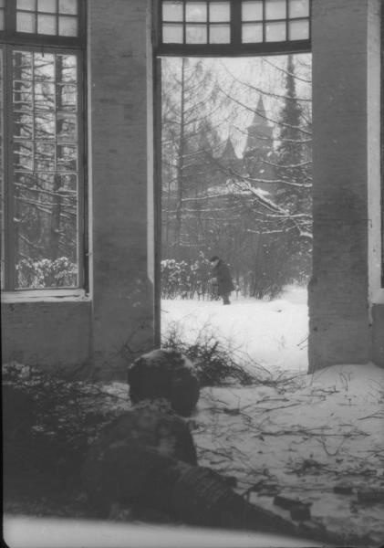 Вид из оранжереи усадьбы Покровское-Стрешнево, 1920-е, Покровское-Стрешнево