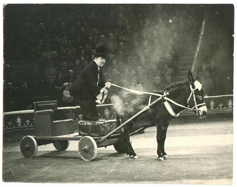 Клоун Карандаш, 1963 год. Народный артист РСФСР Михаил Николаевич Румянцев выступает на манеже в репризе «Осел».Видео «Советский Чаплин. Михаил Румянцев» с этой фотографией.