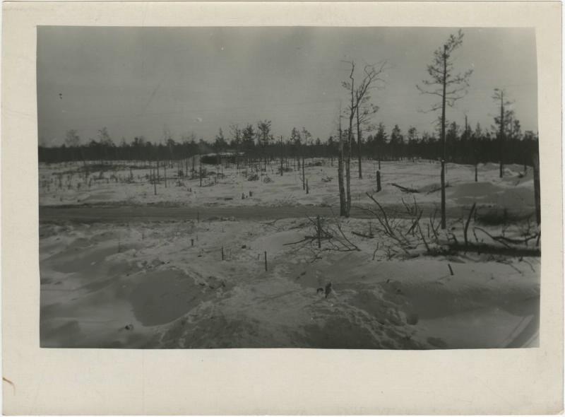 Финская война. Заснеженное поле, 1939 год