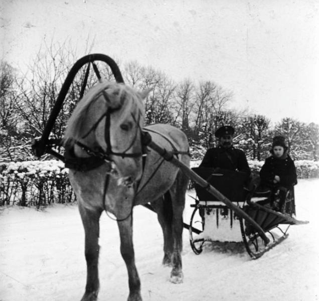 Санная прогулка, 1910-е. Выставка «Рождественское настроение» с этой фотографией.&nbsp;