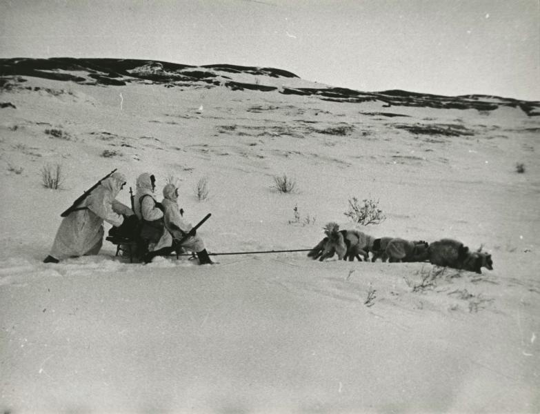 Связисты, 1941 - 1942, Мурманская обл., п-ов Рыбачий