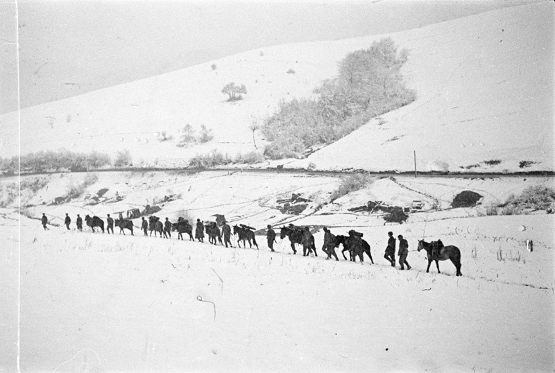 Восточно карпатская операция 1944. Восточно-Карпатская операция цель. Днепро Карпатская операция. 28 Октября 1944.