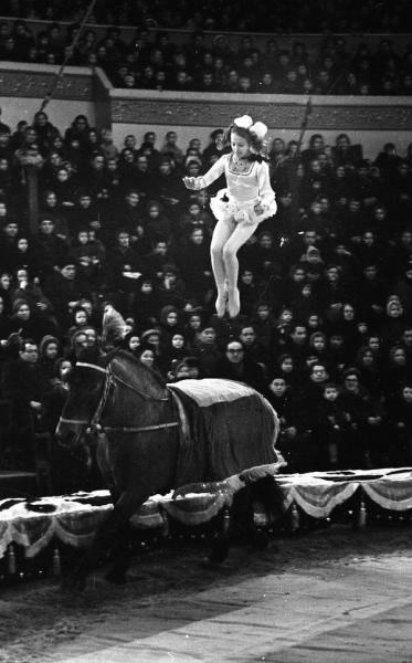 Цирк. Номер наездницы Валентины Лерри, 1959 год, г. Ленинград. Выставка «По коням!» с этой фотографией.&nbsp;