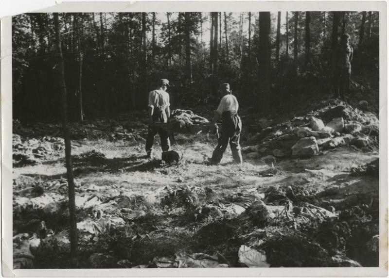Лагерь смерти под Люблиным в лесу. Раскопка могил, июль - август 1944, Польша. Концлагерь Майданек.Выставка «Холокост» с этой фотографией.&nbsp;