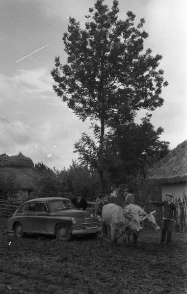 Дорога от Винницы до Теплика, 1950-е, Украинская ССР