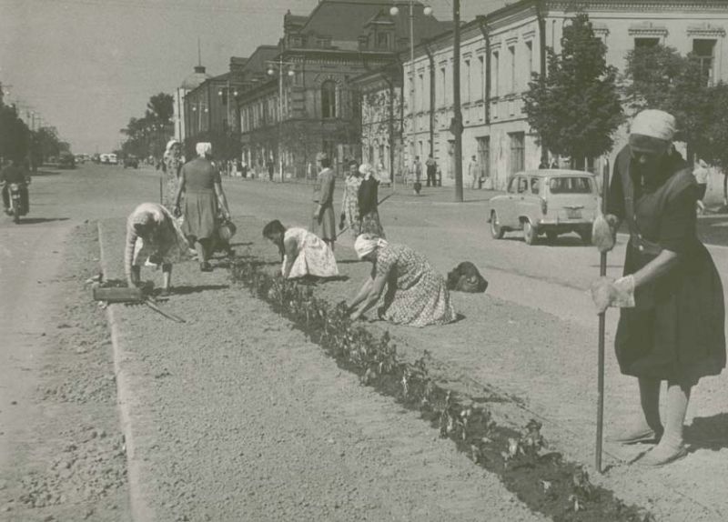 Посадка цветов на Советском проспекте, 1963 год, г. Череповец и Череповецкий район