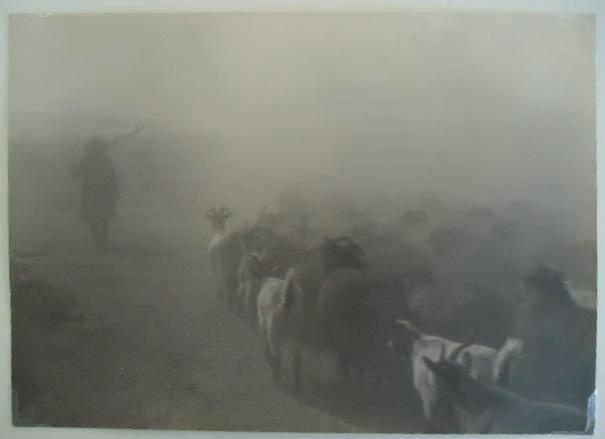 Стадо в пыли, 1930-е