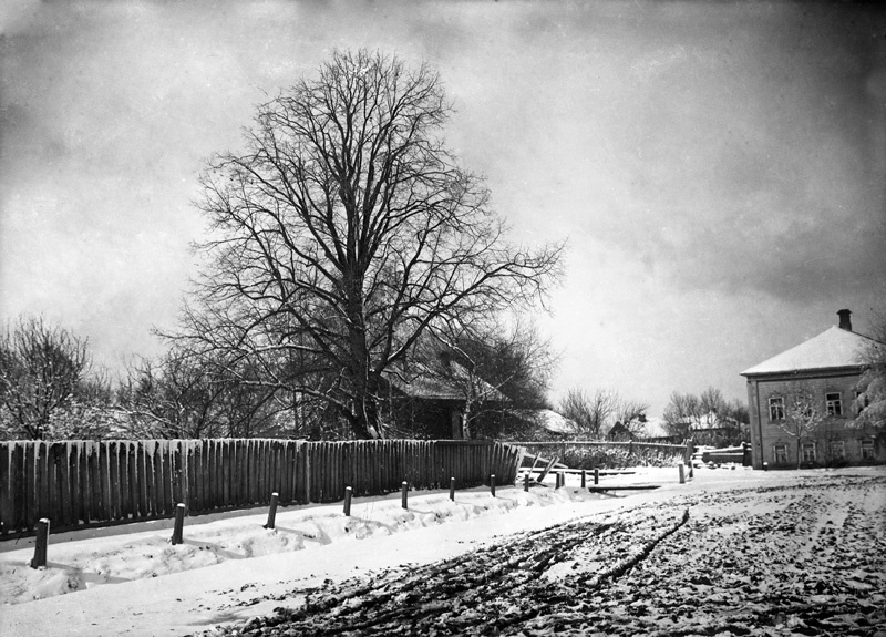 Первый снег, 1928 год, г. Галич. Выставка «Первый снег» с этой фотографией.&nbsp;