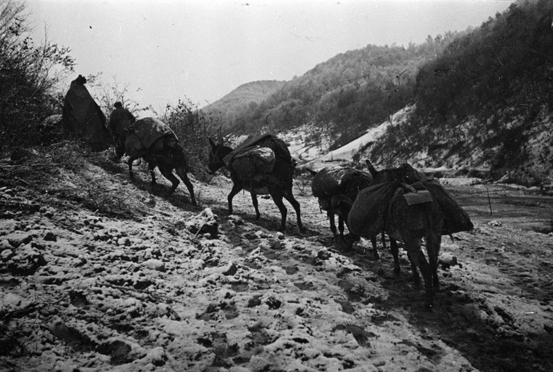 28 октября 1944. Карпатская битва 1915. Восточно-Карпатская операция 1944. 9.Восточно-Карпатская операция эфото.