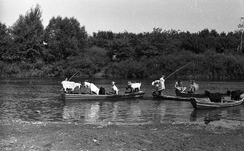 Сценки на реке, 1960-е