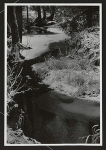 Ручей. Первый снег, 1963 год. Выставка «Первый снег» с этой фотографией.&nbsp;