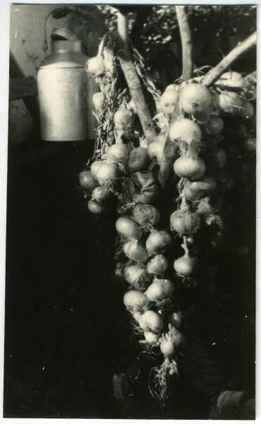 Натюрморт с луком, 1963 год