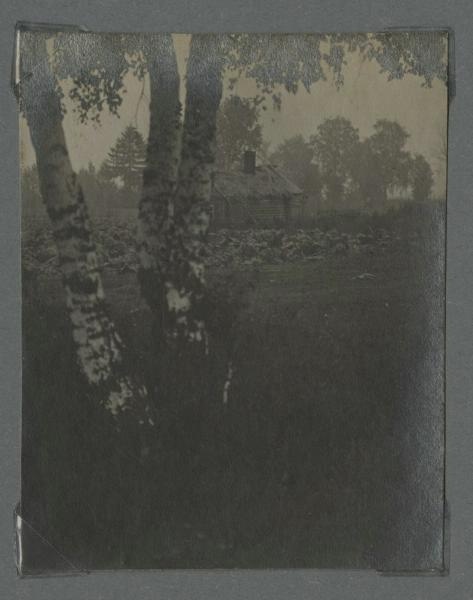 Береза, 1920-е