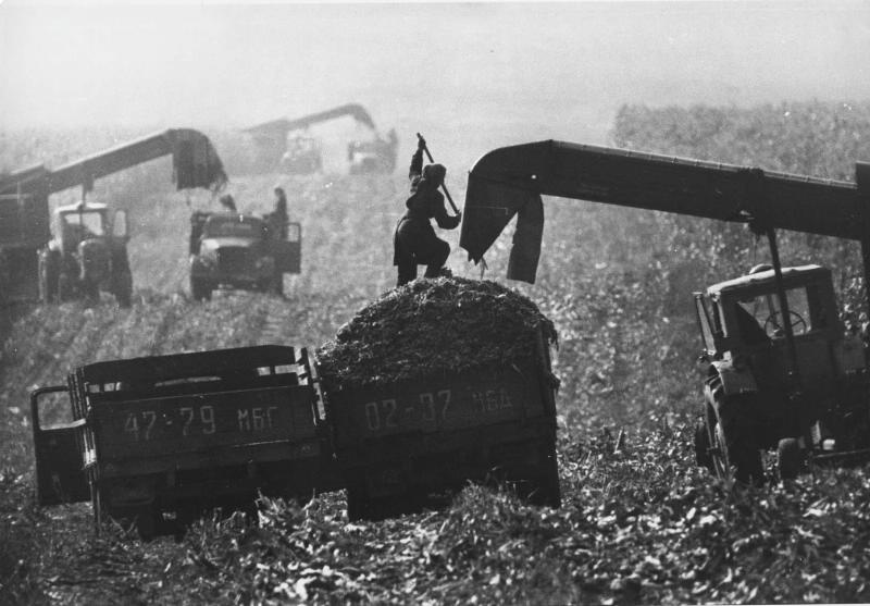 В поле, 1965 - 1969. Выставка «Сельские женщины СССР» с этой фотографией.