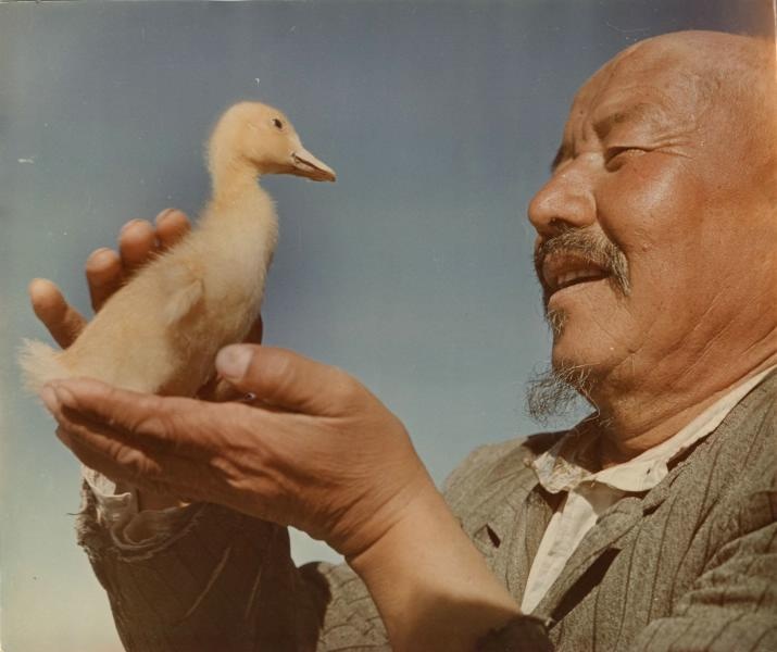 Птичник из Киргизии, 1960-е. Выставка «В краю плывущих низко облаков» с этой фотографией.