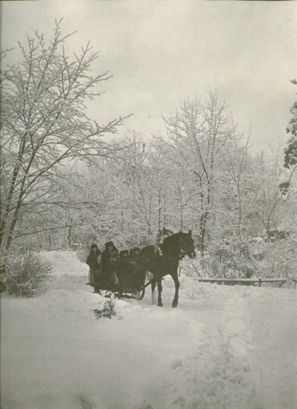 Праздник Зимы в городском парке, 1970 год, г. Череповец и Череповецкий район. Выставка «Парк собирает друзей» с этой фотографией.&nbsp;