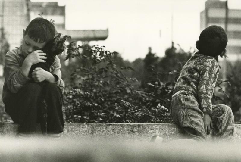 Мальчики, 1965 - 1973. Выставка «Без кота и жизнь не та» с этой фотографией.&nbsp;