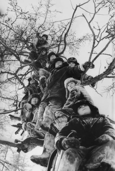 «Грачи прилетели», 1976 год, г. Билибино. Выставка «Дети» с этой фотографией.&nbsp;