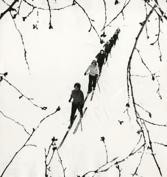 Лыжники, 1975 год. Видеовыставка «Главный физкультурный проект СССР: "Готов к труду и обороне"» с этой фотографией.&nbsp;