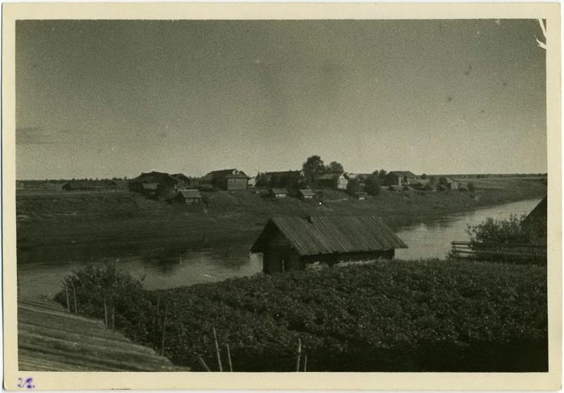 Деревня Муравьево на реке Онеге, 1920-е, Вологодская губ., Каргопольский у., дер. Муравьево