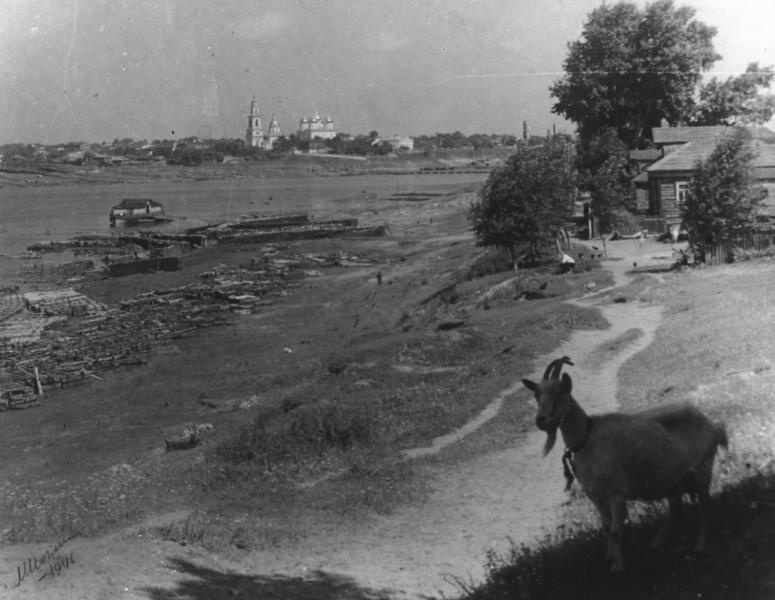 Пейзаж с козой, 1946 год. Выставка «СССР в 1946 году» с этой фотографией.