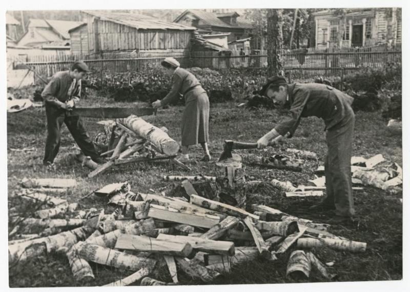 Пионеры заготавливают дрова, 1942 год. Выставка «Великая Отечественная война. Тыл» с этой фотографией.