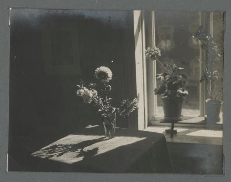 Цветы у окна, 1920-е