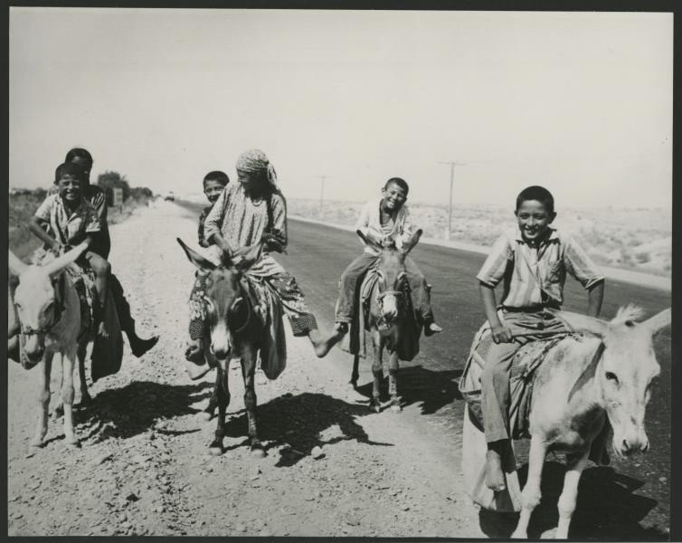 Дети на осликах, 1980-е, Узбекская ССР. Видео «Пора гулять» с этой фотографией.