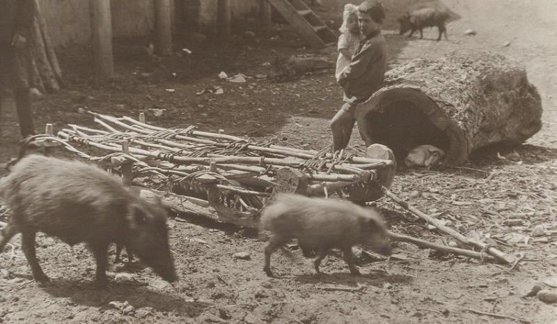 Во дворе свана, 1928 год, Грузинская ССР, Сванетия. Из серии «Типы Сванетии, жилище, быт, культ».
