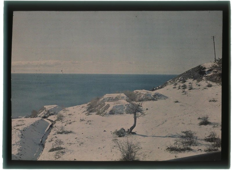 Крымский пейзаж, 1910-е, Таврическая губ., г. Ялта. Выставка «Жара» с этой фотографией.&nbsp;