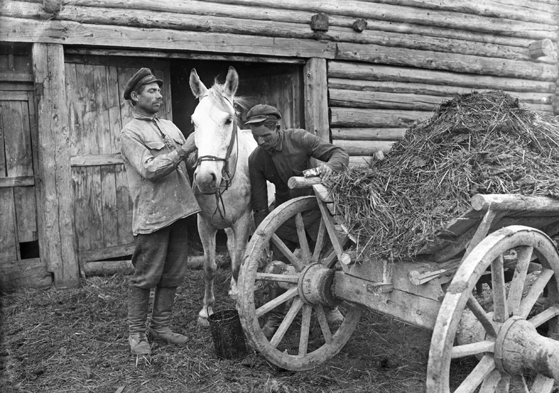 Колхоз, 1931 год, г. Галич. Выставка «На сеновал!» с этой фотографией.