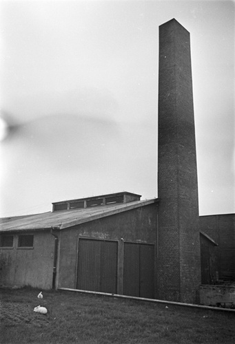 HD орысша секс видео