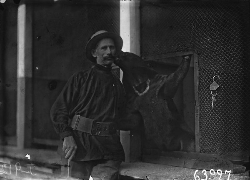 Дрессировщик с медведем у открытой клетки зверя, 1915 год, г. Петроград