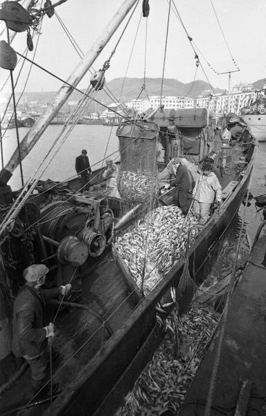 Рыболовецкое судно в порту, 1960-е, Сахалинская обл., г. Холмск