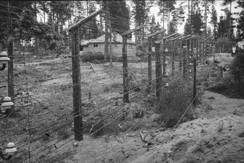 Ограда из колючей проволоки в лесу, 1941 - 1945