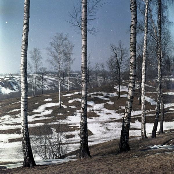 Весна, 1960-е. Выставка «Охота за светом» с этой фотографией.