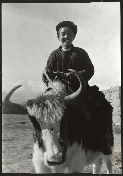 Мальчик на яке, 1957 год, Киргизская ССР, Алайская долина