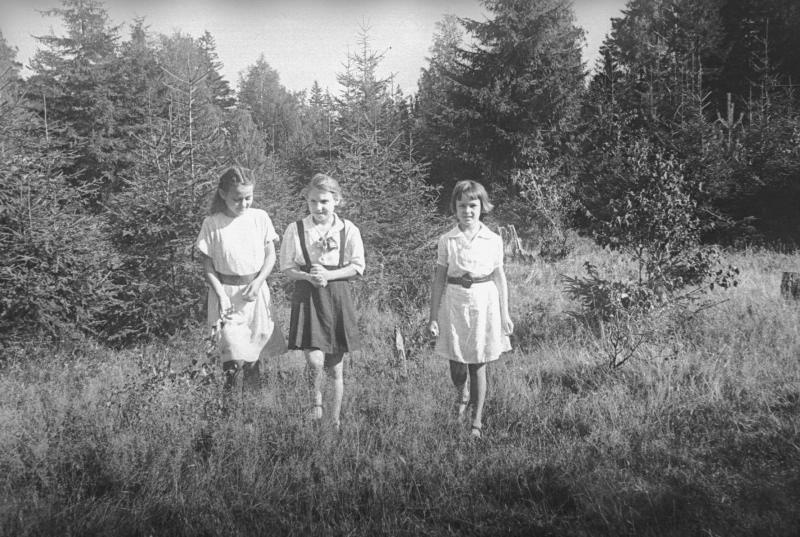 Девочки на опушке леса, 1940 год