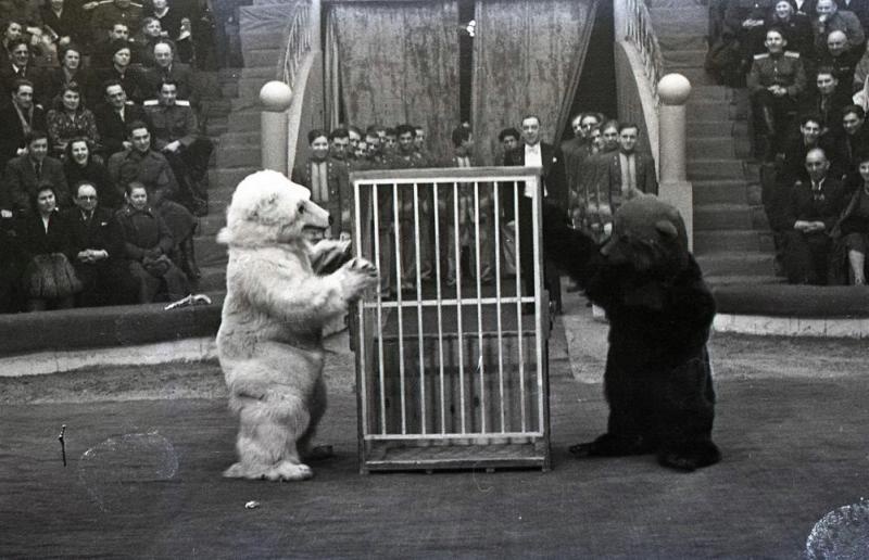 Клоунский дуэт: Демаш и Мозель, 1950-е, г. Москва. Выставка «Цирк» с этой фотографией.&nbsp;