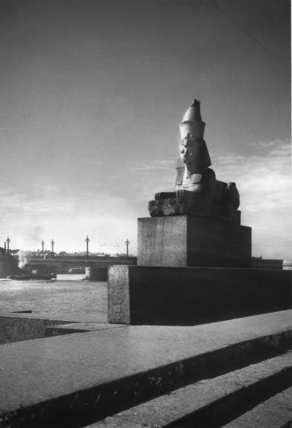 Сфинкс на Университетской набережной перед Академией художеств, 1946 - 1949, г. Ленинград