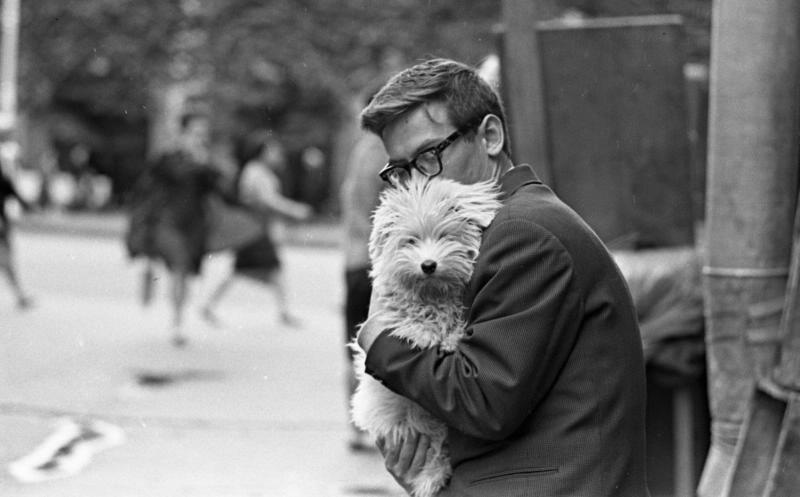 Мужчина с собакой, 1965 год, г. Ленинград