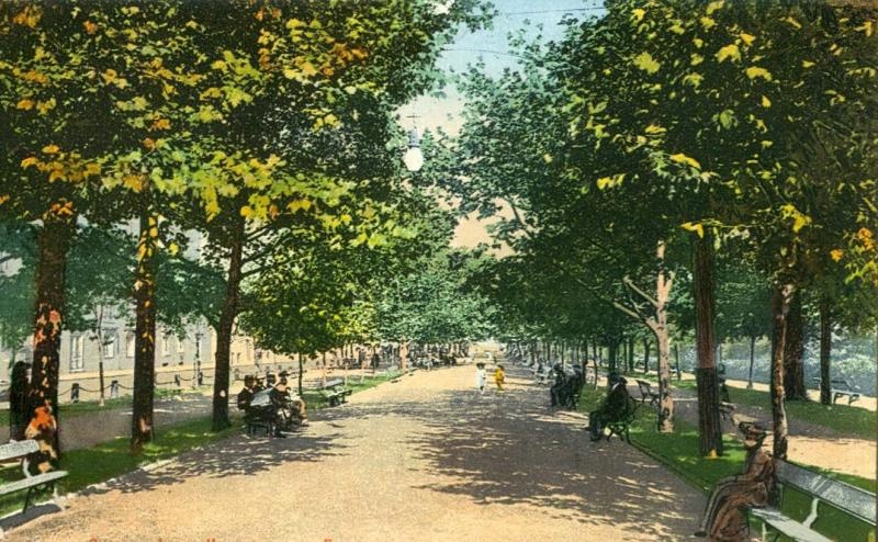 Аллея Николаевского бульвара, 1900-е, Херсонская губ., Одесский у., г. Одесса