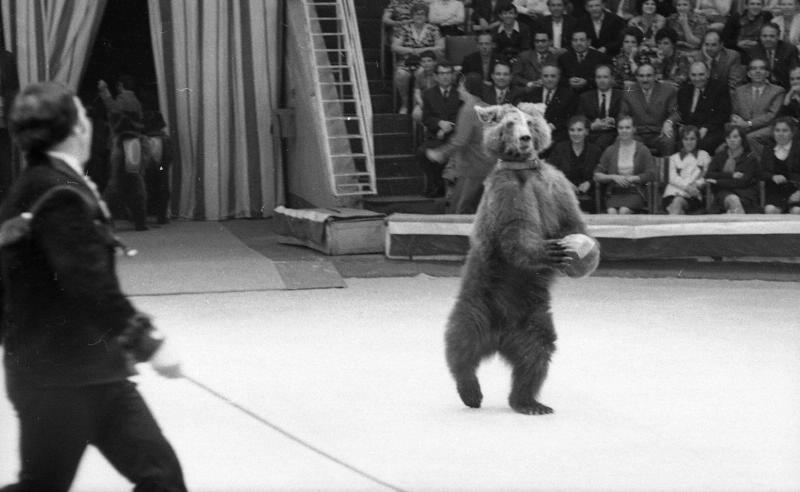 Номер дрессировщика медведей Касеева, 1960-е