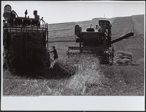 Уборочная страда. Из серии «Хлеб наш насущный», 1972 год