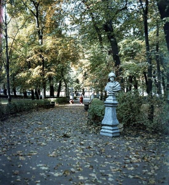 Осень в Летнем саду, 1961 - 1969, г. Ленинград